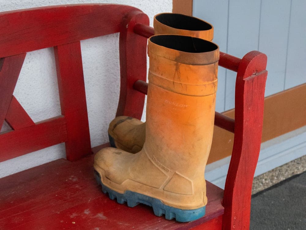 Rubber boots standing on a bench by a door, waiting to dry